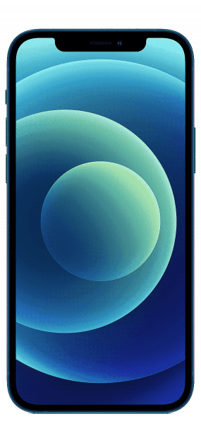 Apple iPhone 13 (A2482)